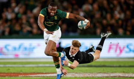 South Africa, New Zealand plan eight-match rugby tour