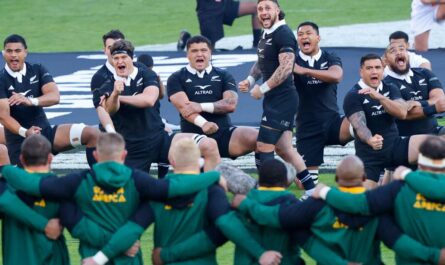 South Africa apologises to New Zealand after music, fireworks and plane disrupt haka